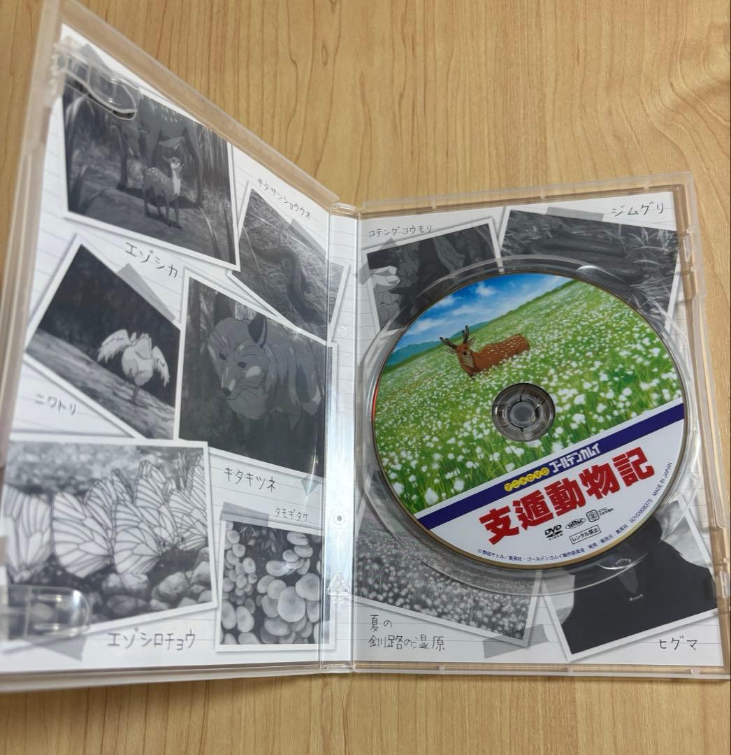 ゴールデンカムイ　23巻　DVD同梱版 姉畑支遁