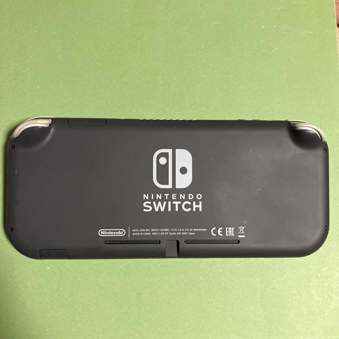 ジャンク Nintendo Switch Lite アダプター 動作確認済