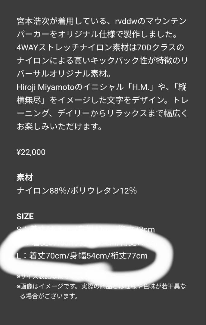 試着のみ/宮本浩次★縦横無尽ツアーグッズrvddwコラボマウンテンパーカー・L