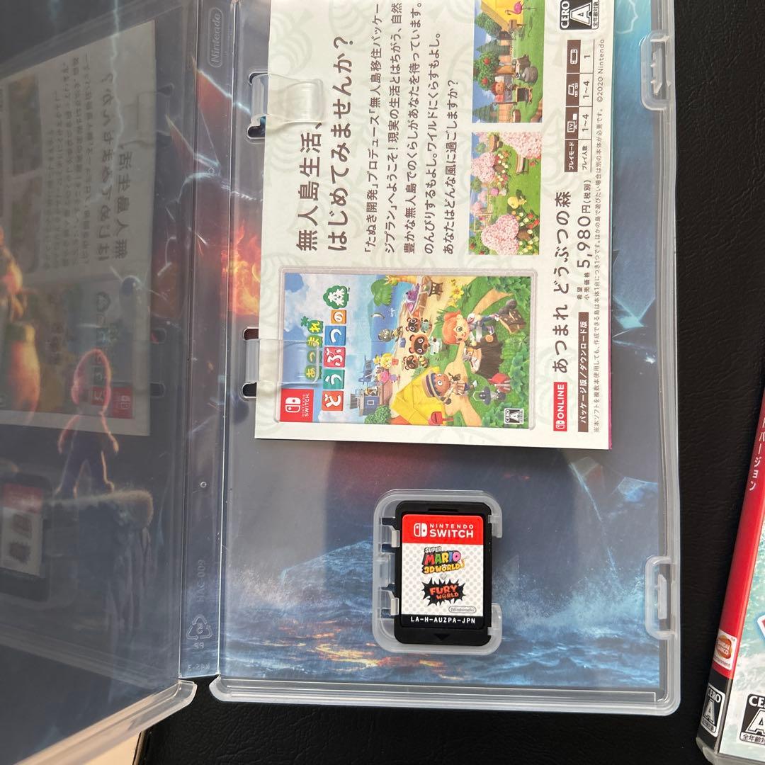釣りスピリッツNintendo Switch スーパーマリオフューリーワールド
