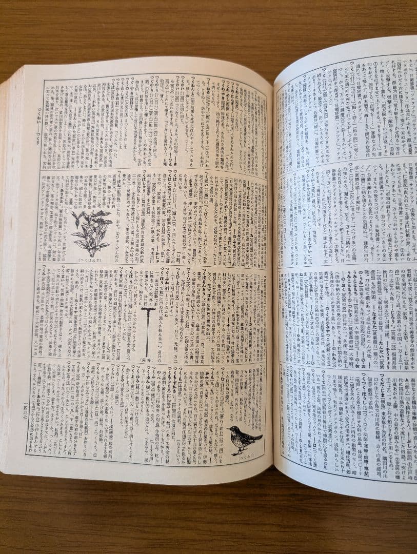 希少　広辞苑　第一版第四刷　昭和31年　新村出編