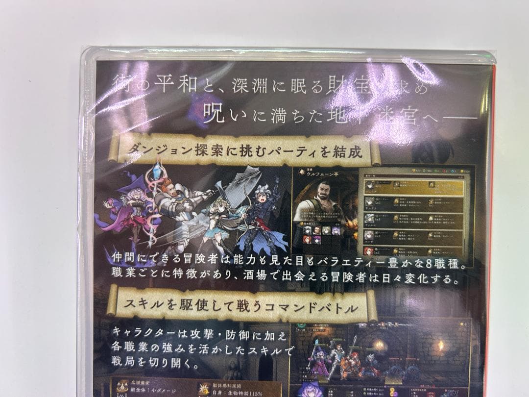 新品 Switch Curse Warrior カース ウォーリアー 即購入OK