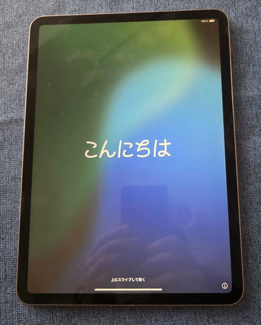 う*ら様 ギ*カ様 iPad Pro 11インチ 512GB