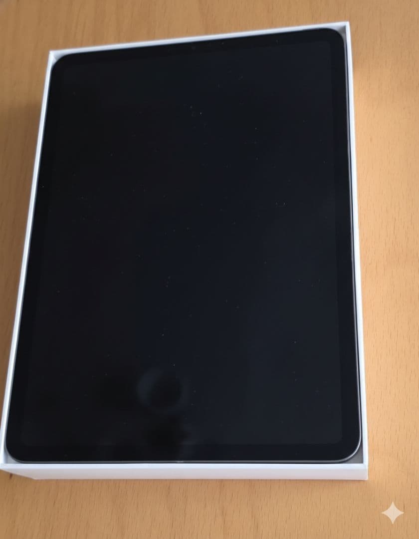う*ら様 ギ*カ様 iPad Pro 11インチ 512GB