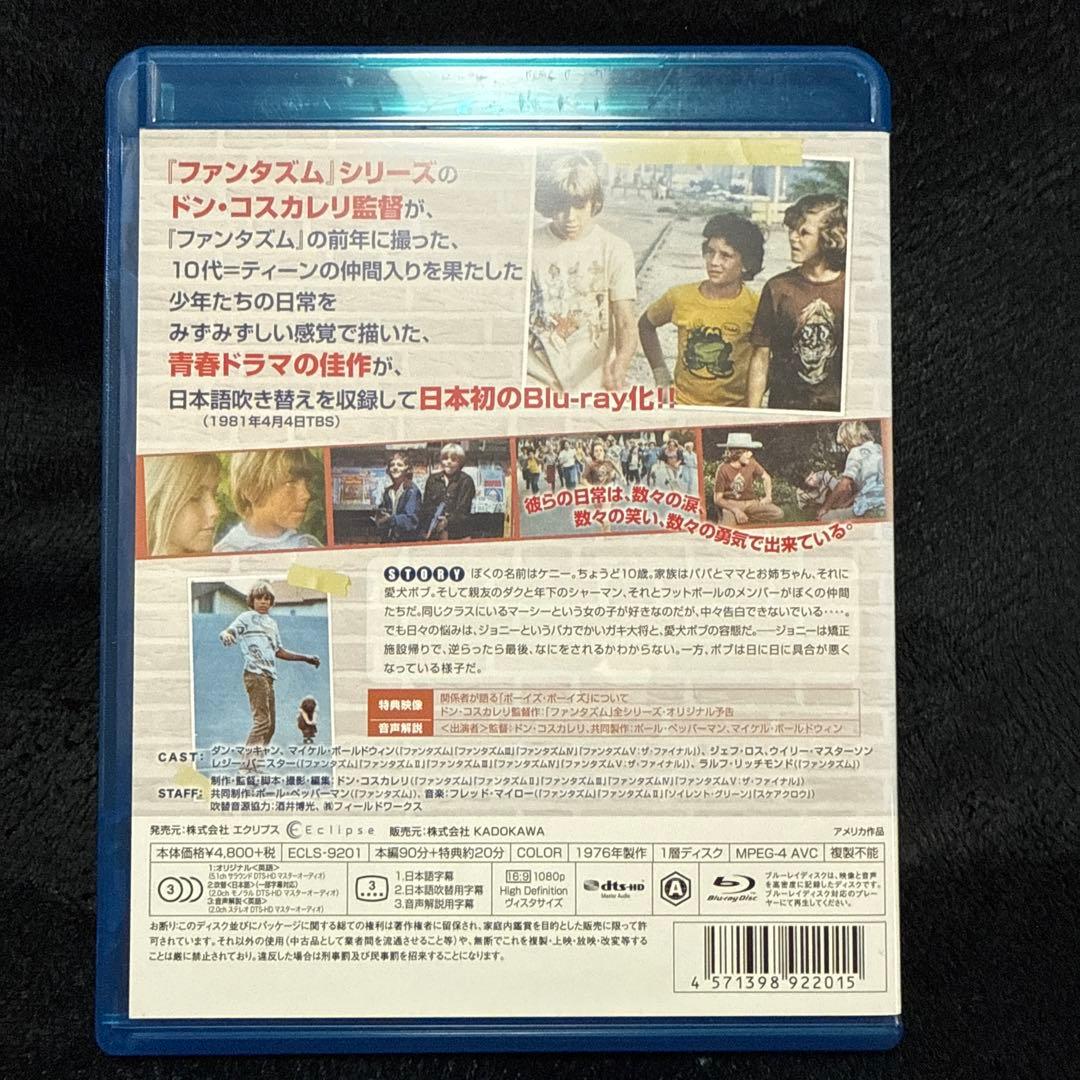 ボーイズ・ボーイズ ケニーと仲間たち('76米)