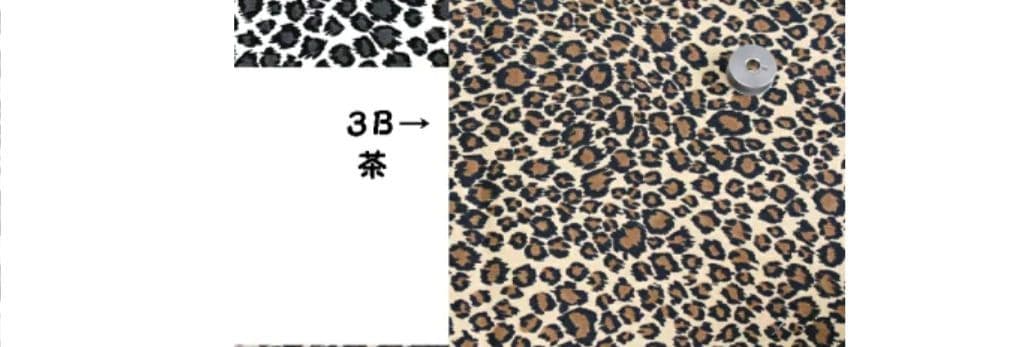 もこです