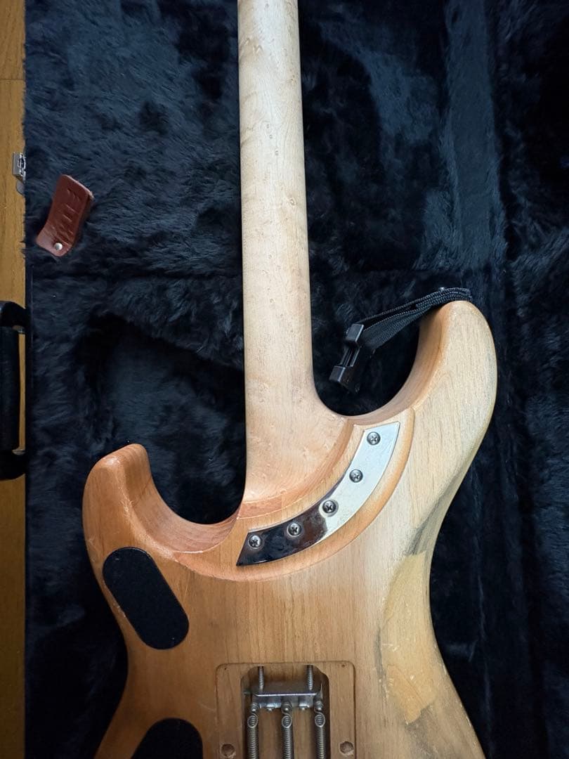 極美品 Washburn N4 Authentic ClipLock付