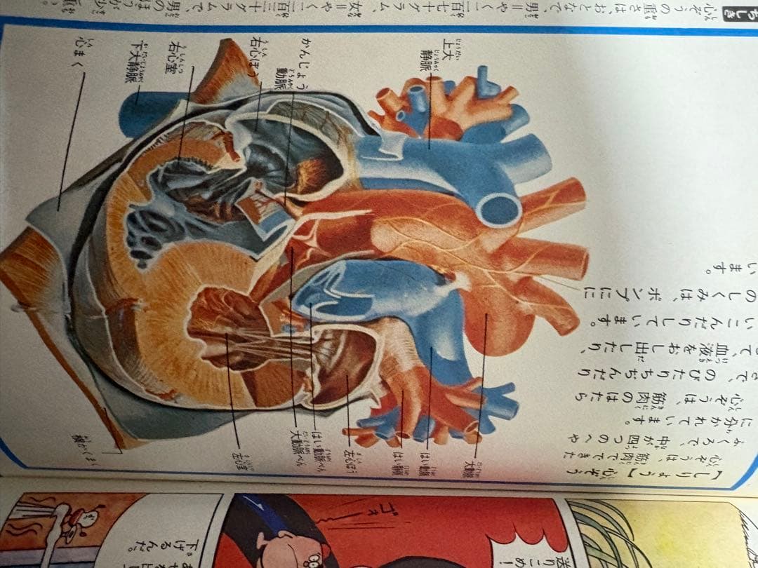 学研まんが ひみつシリーズ「からだのひみつ」旧版 昭和レトロ 希少本