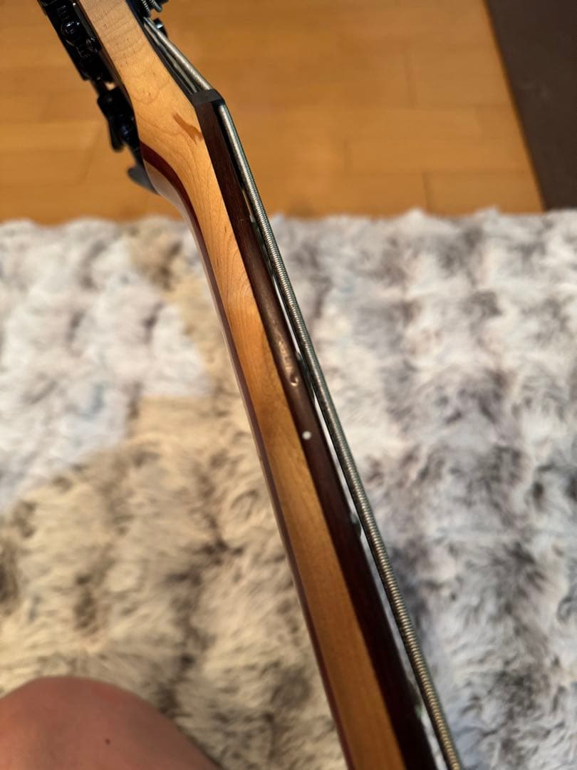 沢*耶様 Ibanez signature model fieldy K5-BK