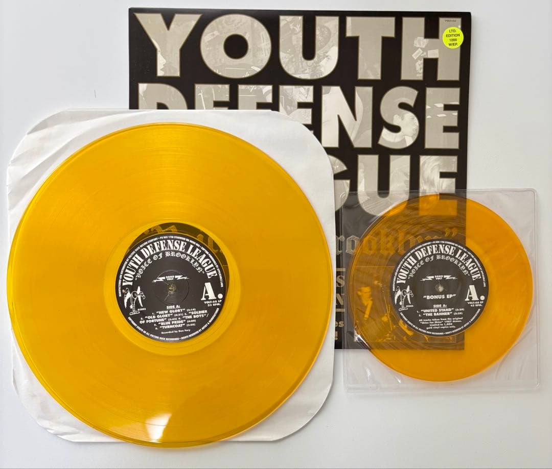 【オリジナルレア盤】Youth Defense League LP