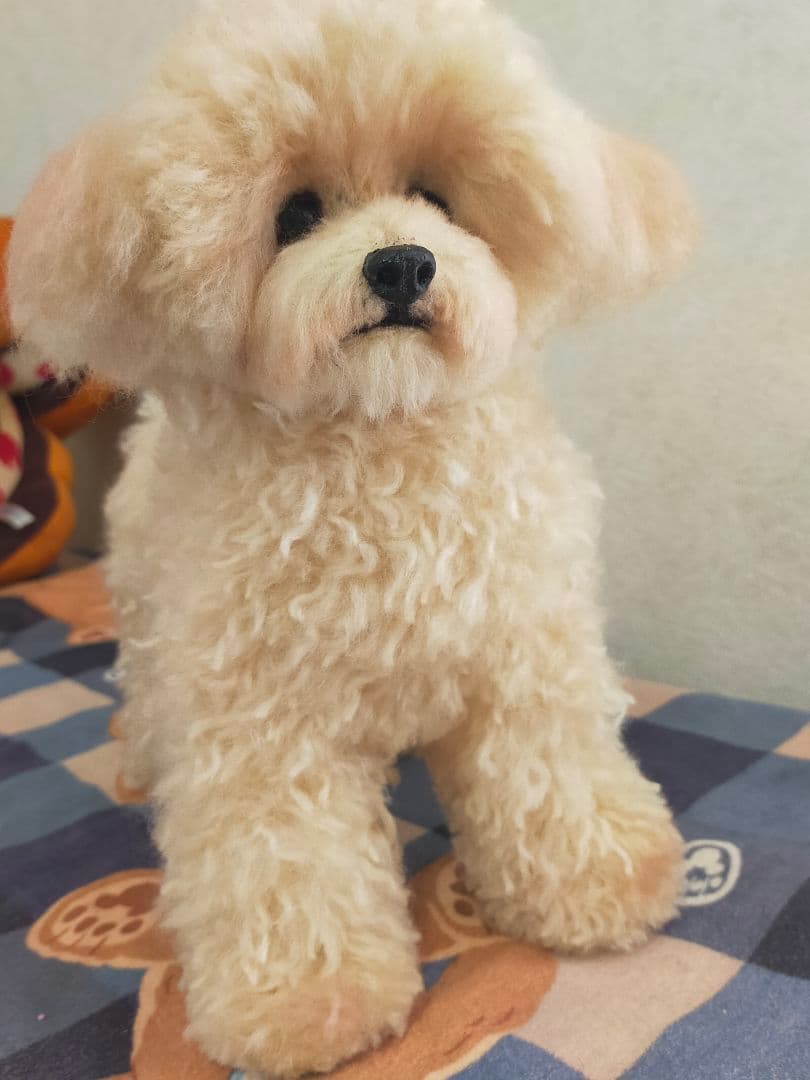 お値下げ！送料込み♡トイプードルアプリコットちゃん♡デカプー♡