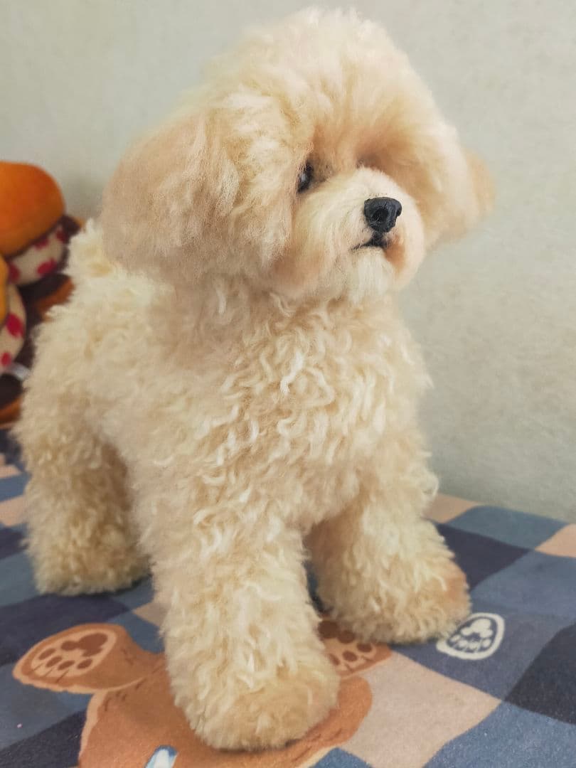 お値下げ！送料込み♡トイプードルアプリコットちゃん♡デカプー♡
