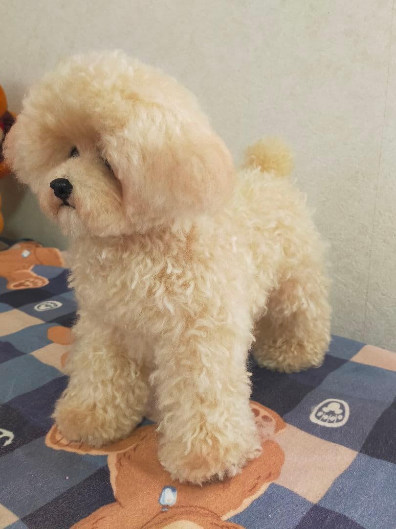 お値下げ！送料込み♡トイプードルアプリコットちゃん♡デカプー♡