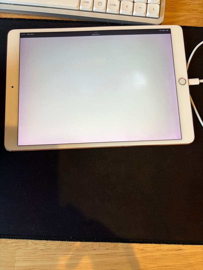 iPad Pro 256GB 10.5インチ　ローズゴールド