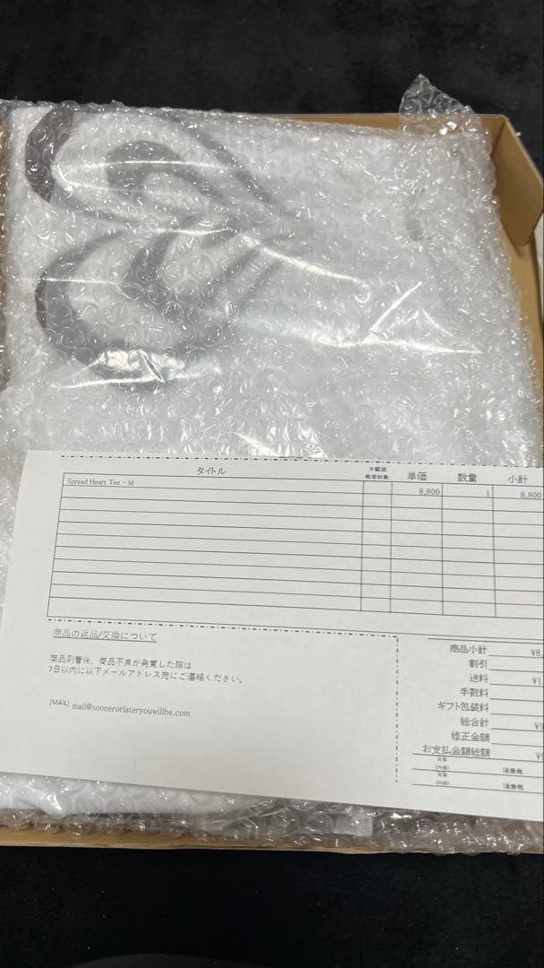 SOL M 即日発送