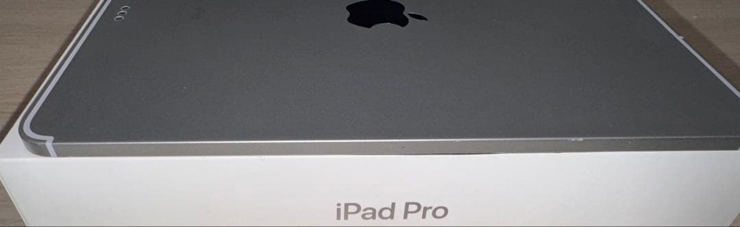 【ジャンク】 iPad Pro 11 1st 256GB Wi-Fi+セルラー