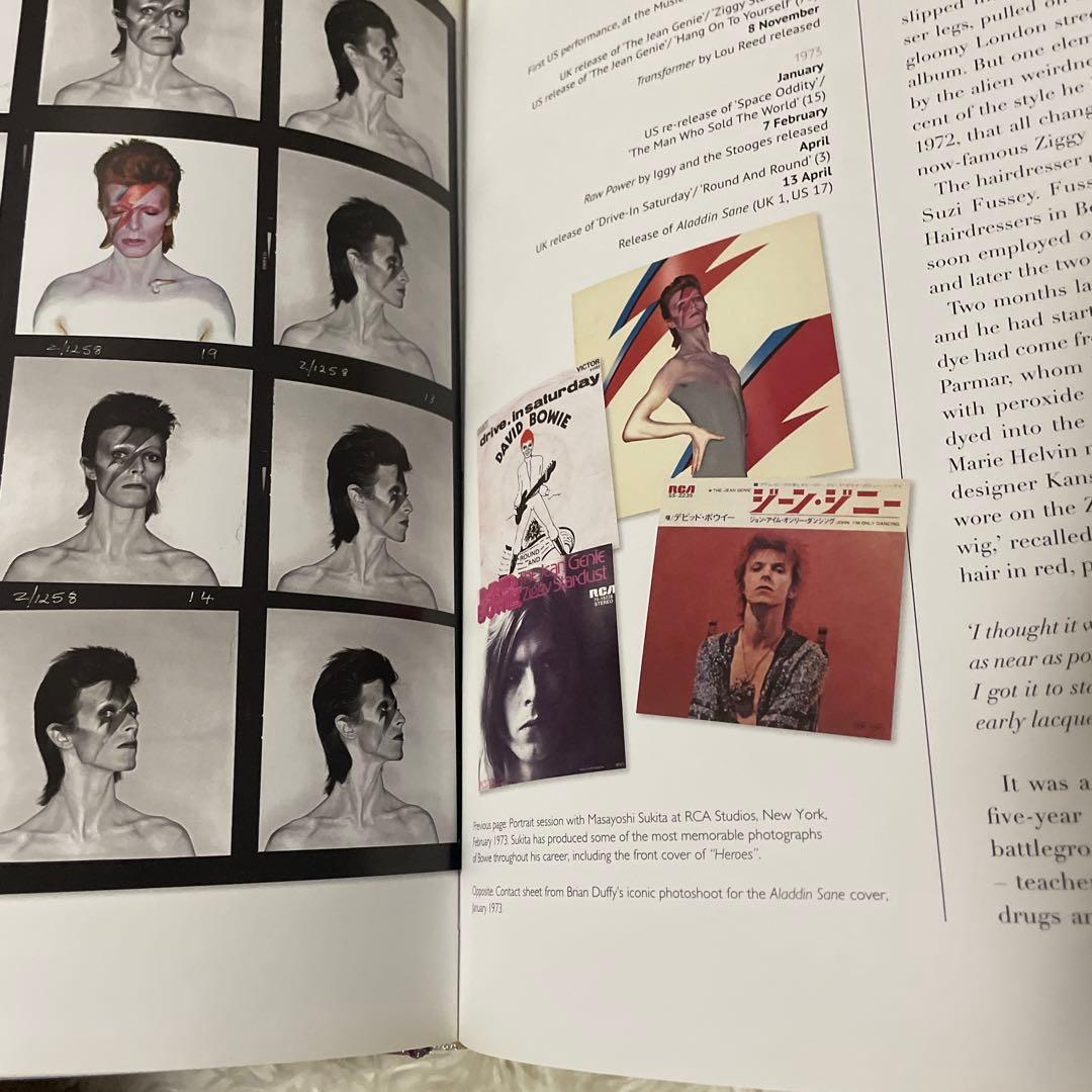 希少　DAVID BOWIE ALBUM BY ALBUM アートブック　洋書
