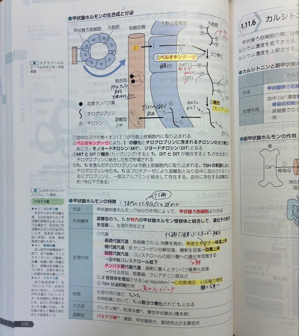 第108回国家試験対策薬剤師国家試験対策参考書（改訂12版）　全巻セット