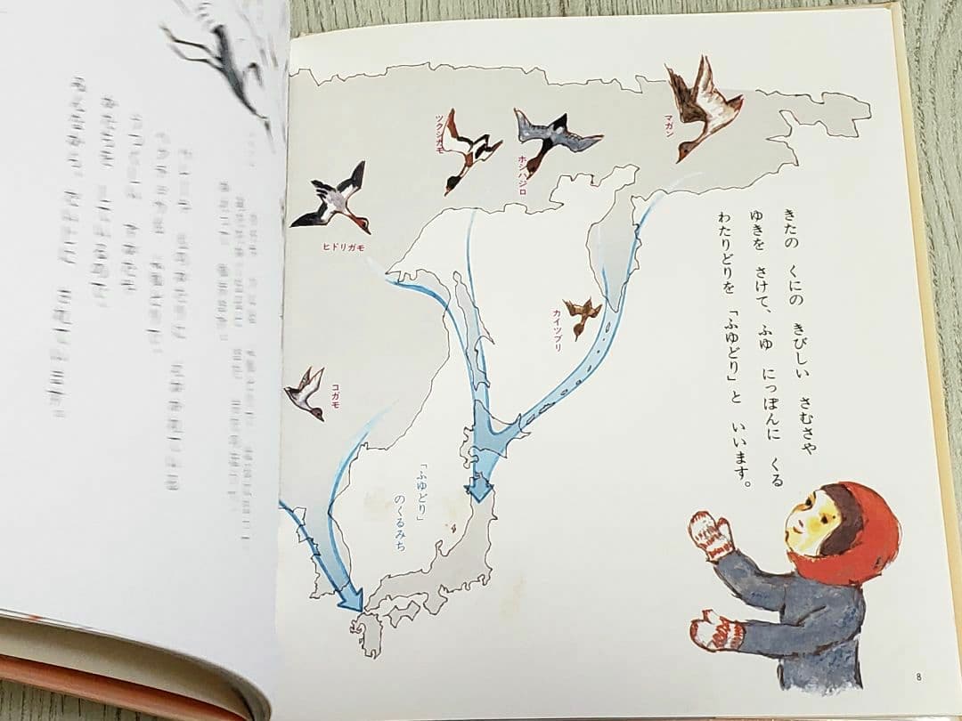 つかまえられたことりちゃん かこさとし 絵本