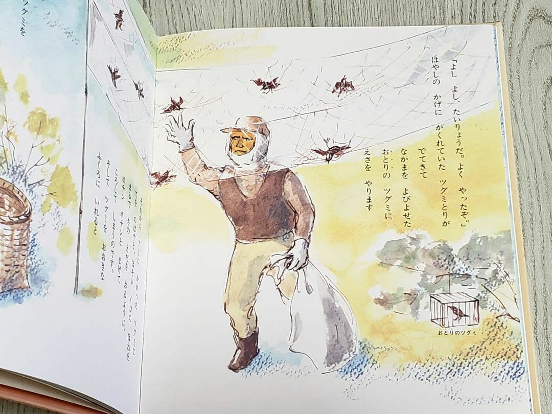 つかまえられたことりちゃん かこさとし 絵本