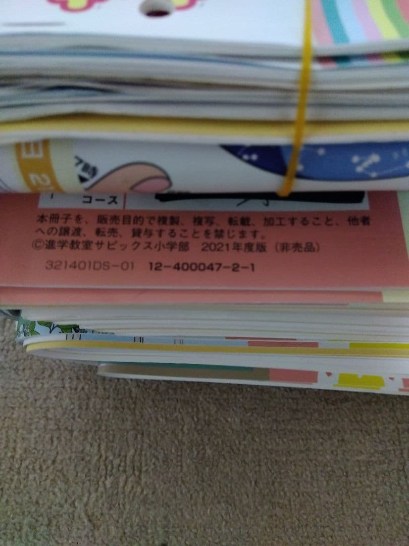 2021年度 サピックス 小学4年 理科