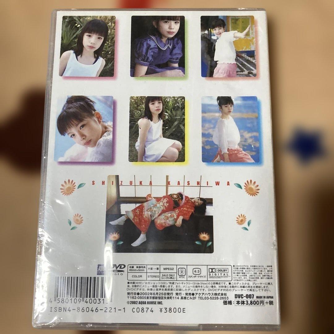 新品 柏静香 バニラコレクション DVD
