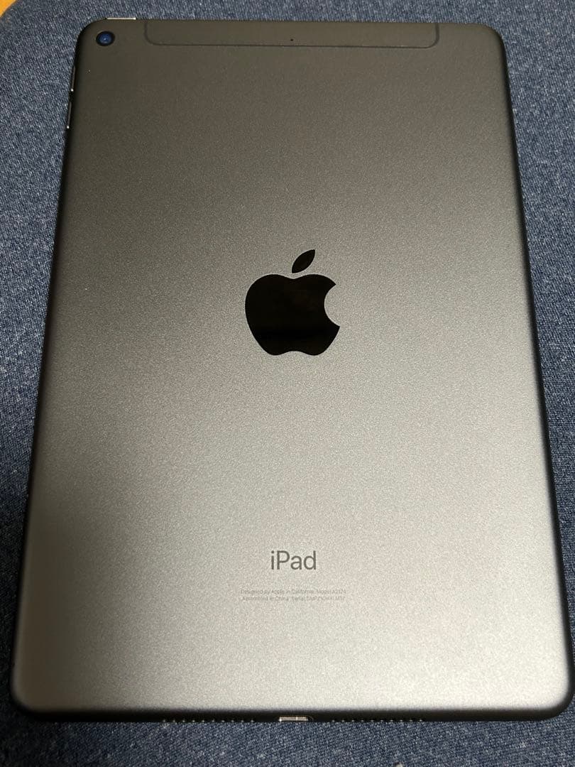 ipadミニ5 Wi-Fi＋セルラーモデル64GB ケース付き　ほぼジャンク品