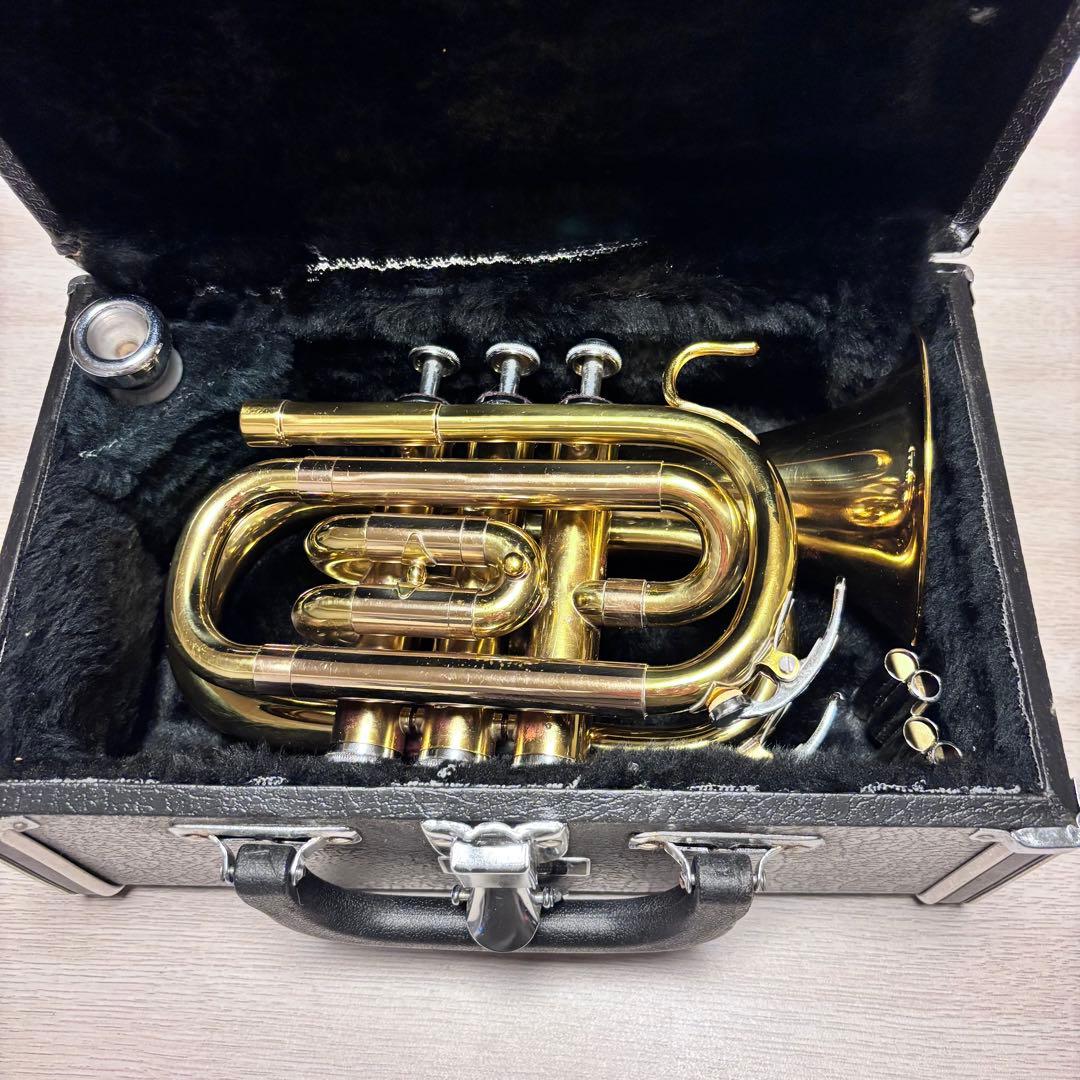 MARCATO Sophiaシリーズ　ポケットトランペット　マルカート　ソフィア