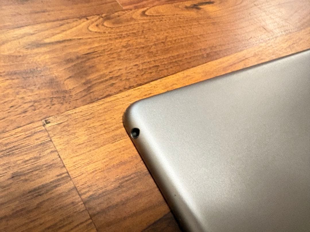 iPad Air2 MGTX2J/A 128GBシルバー 本体とケース