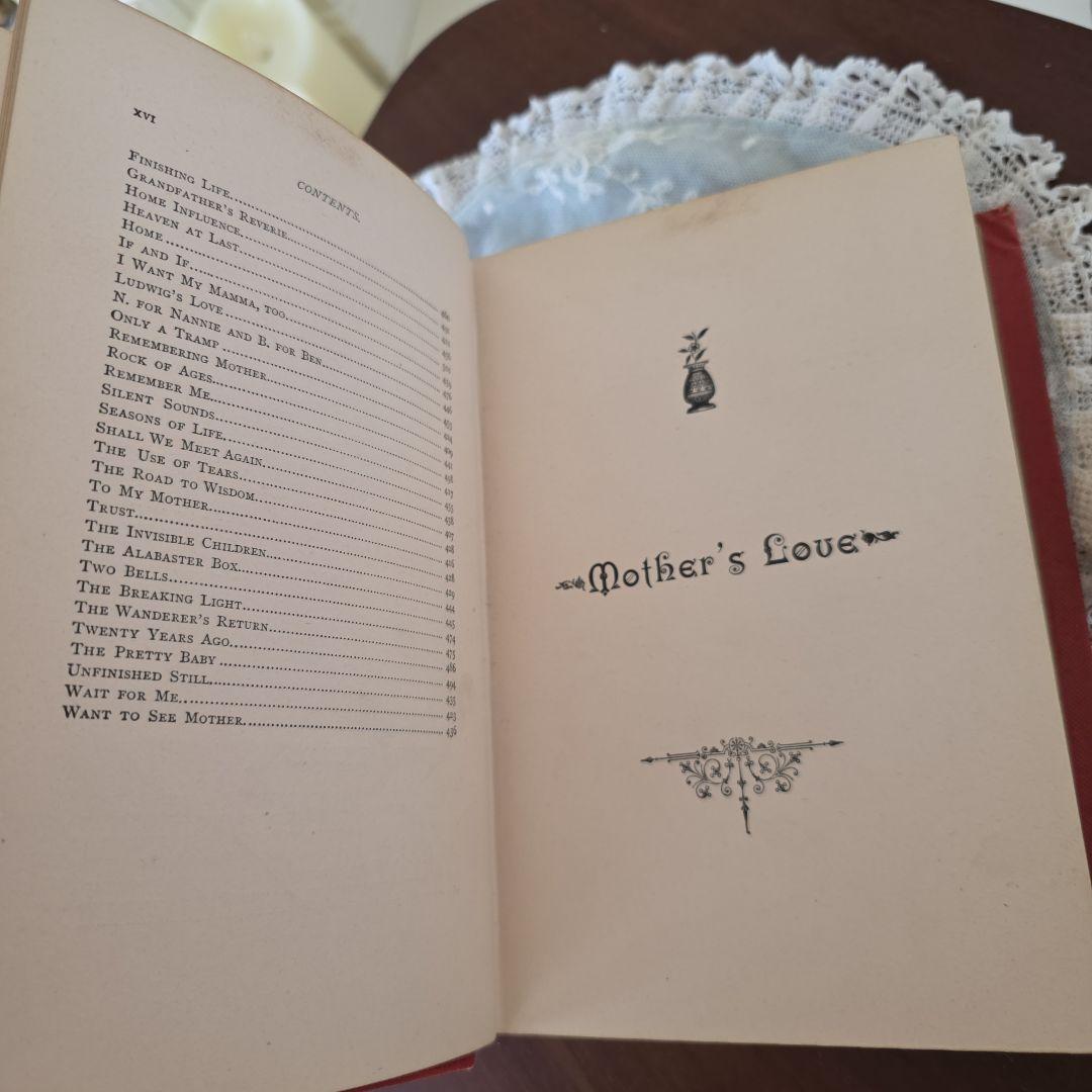 アンティーク　洋書　布生地　金装飾