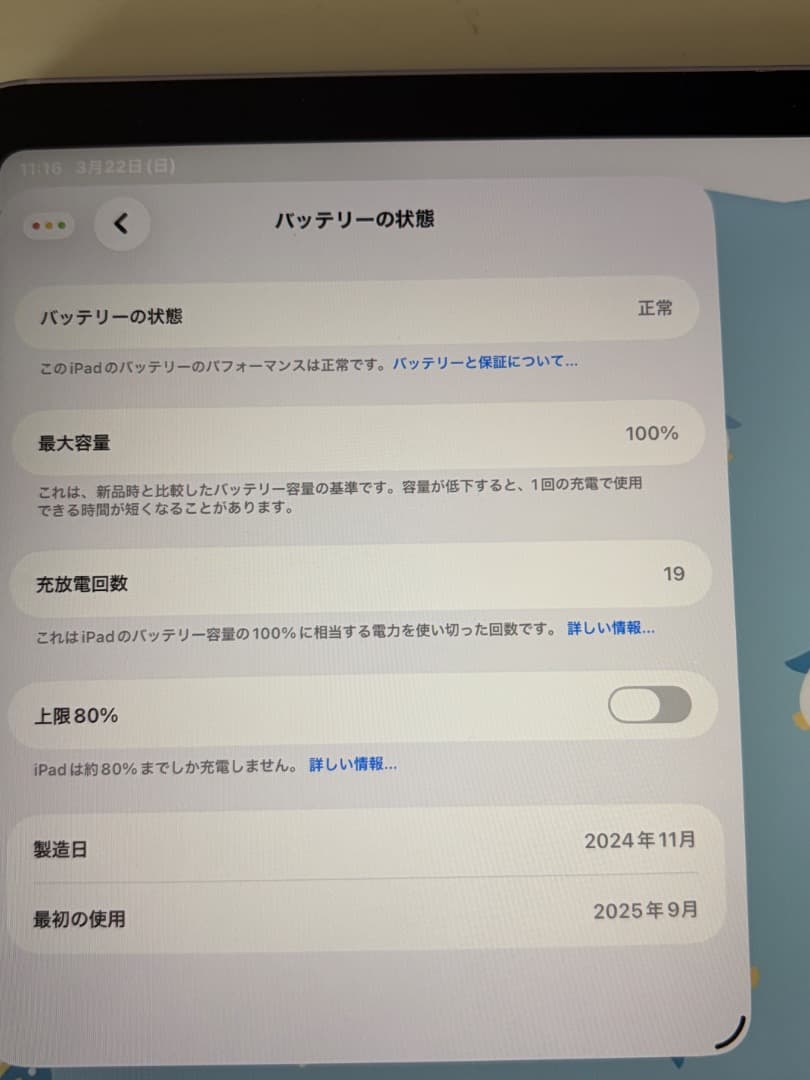 iPad本体 iPad mini ( A17pro )Wi-Fi + Cellular 256