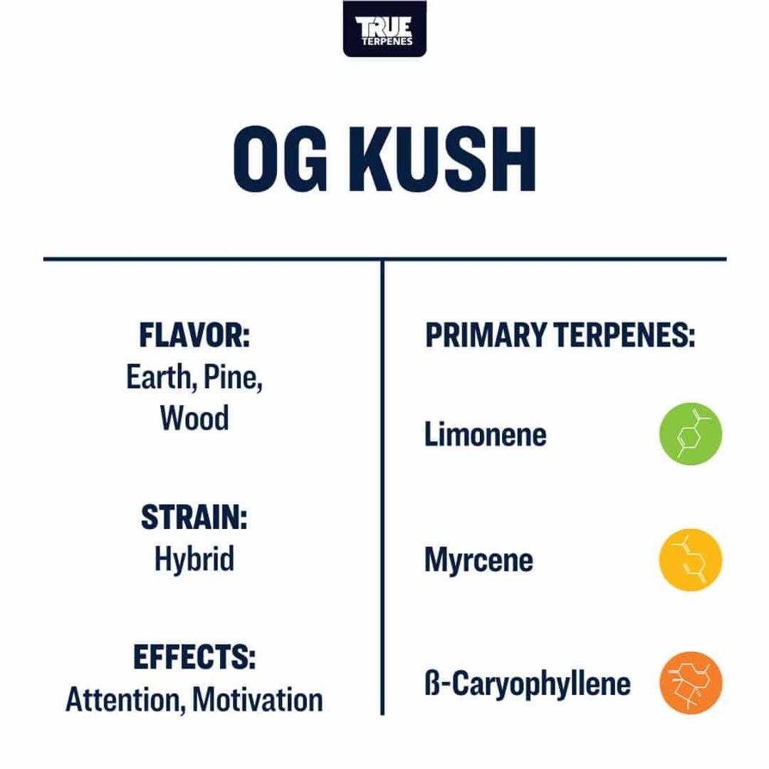 むページ【10ml】OG Kush／Maui10ml Water10ml