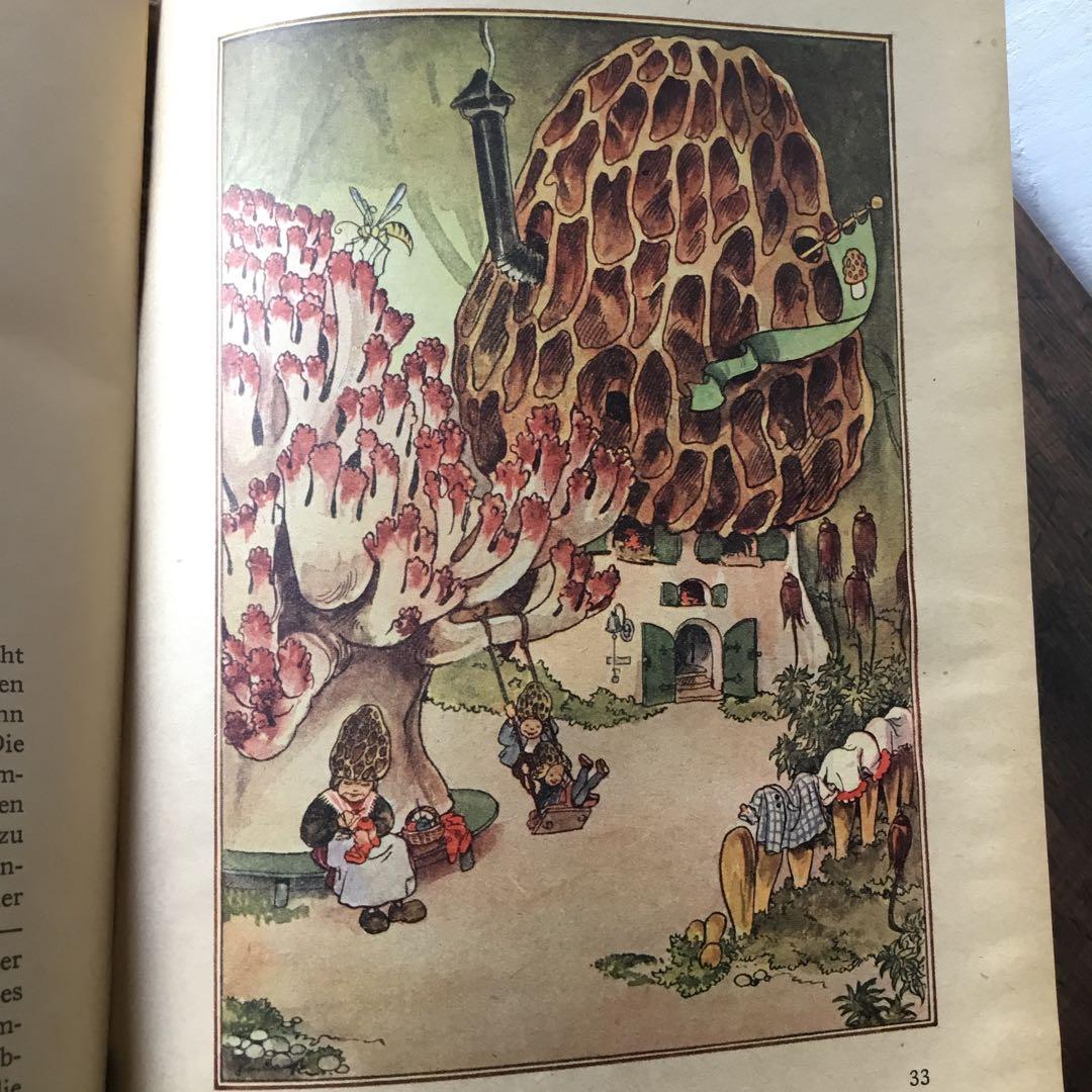 洋書　ドイツ絵本　古書