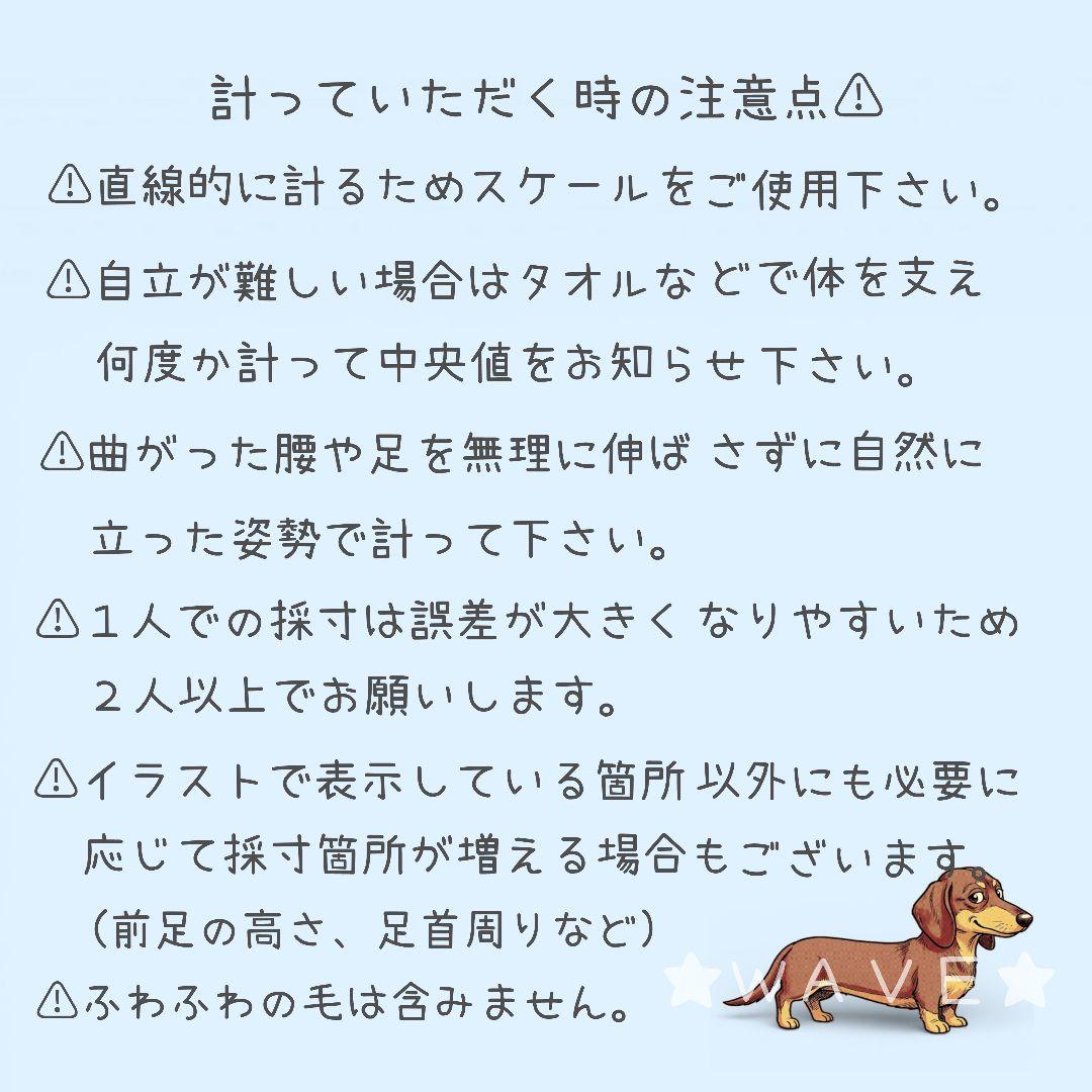 ティファニー♡　犬用車椅子　犬の歩行器　ミニピン　犬の車いす　歩行補助