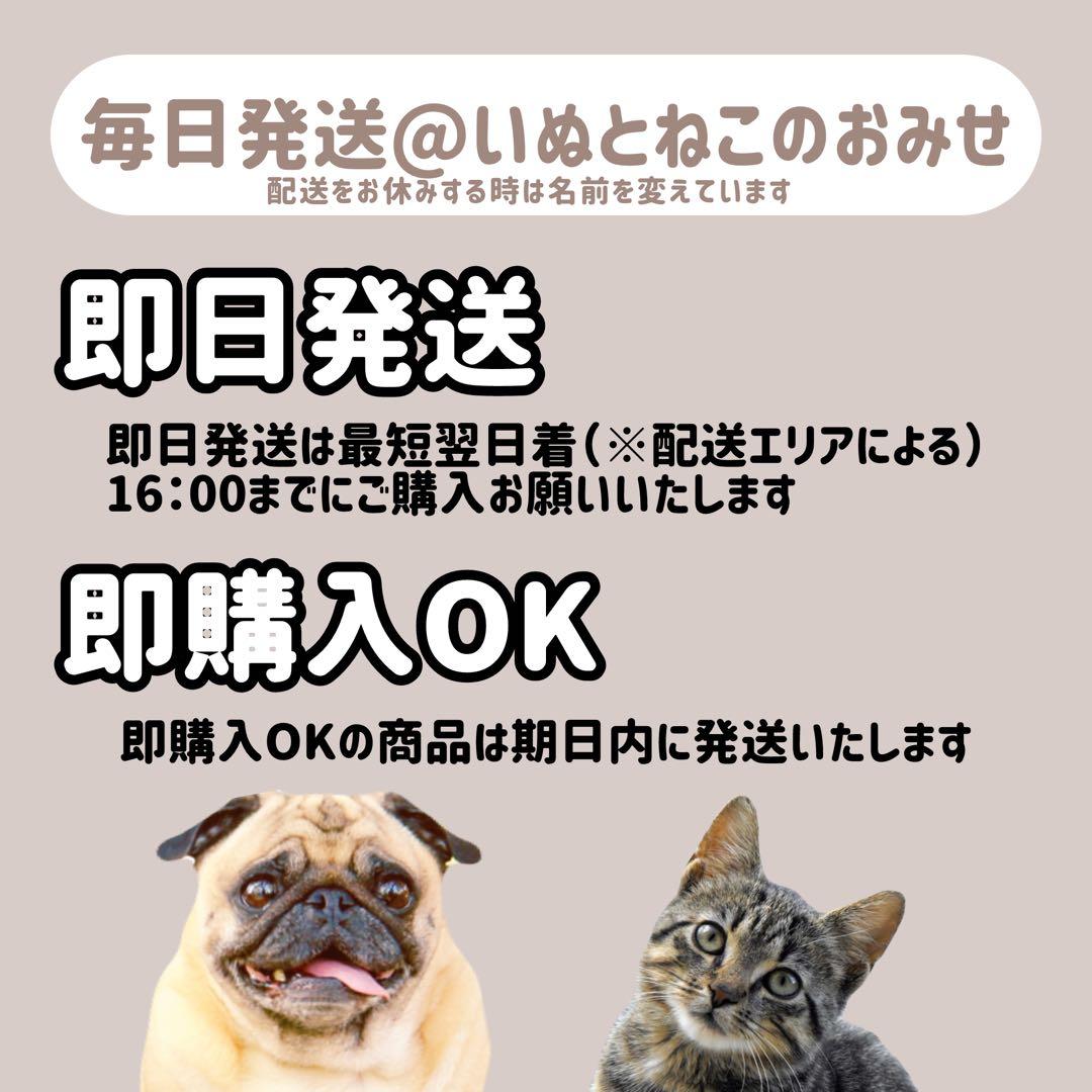 即日発送【15kg】セレクトバランス アダルトチキン 小粒ドッグフード