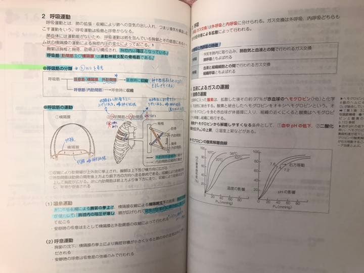 基礎薬学 青本