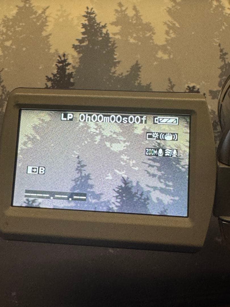 Panasonic デジタルビデオカメラNV-GS300