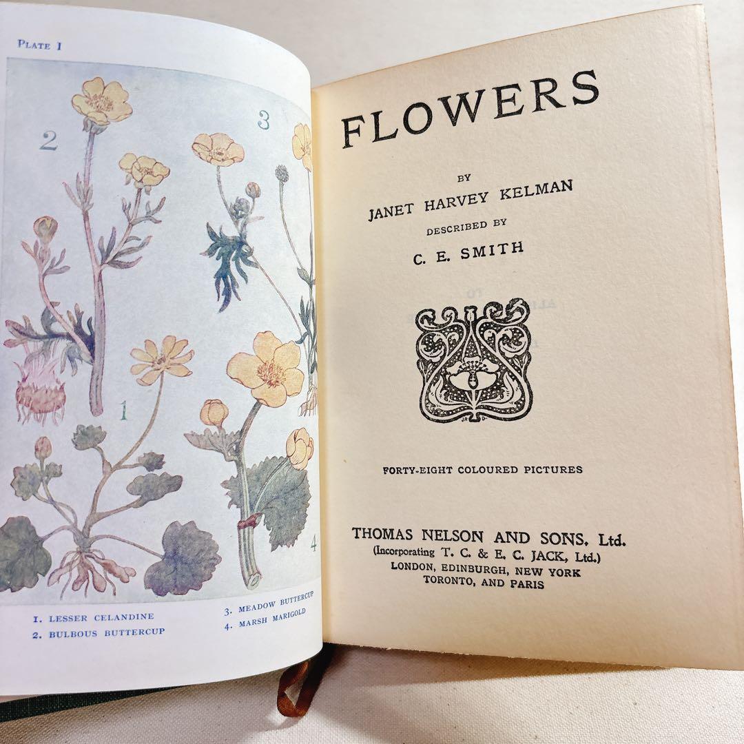 海外 ヴィンテージ洋書 FLOWERS 草花の図鑑 イギリス