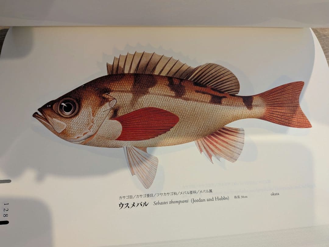 日本水産　魚譜　2011年発行