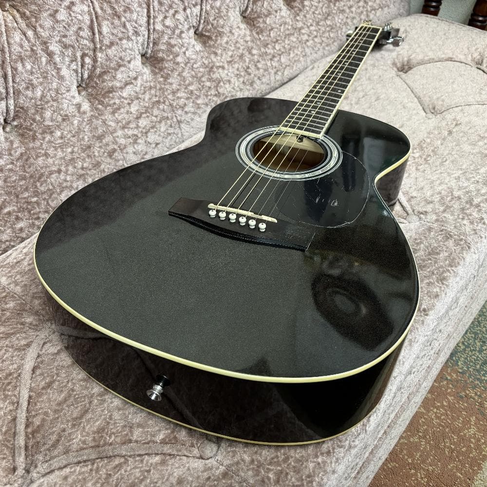 Aria Legend FG-15 レジェンド アコギ アコースティックギター