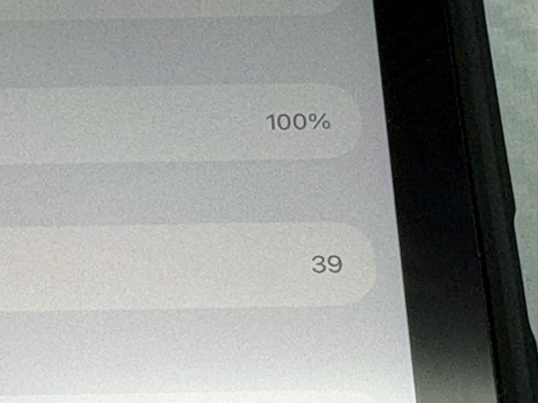 Apple iPad mini（A17 Pro） 本体 電池100 美品
