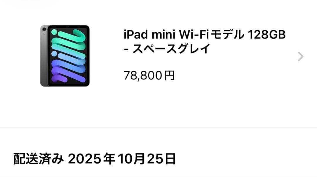 Apple iPad mini（A17 Pro） 本体 電池100 美品