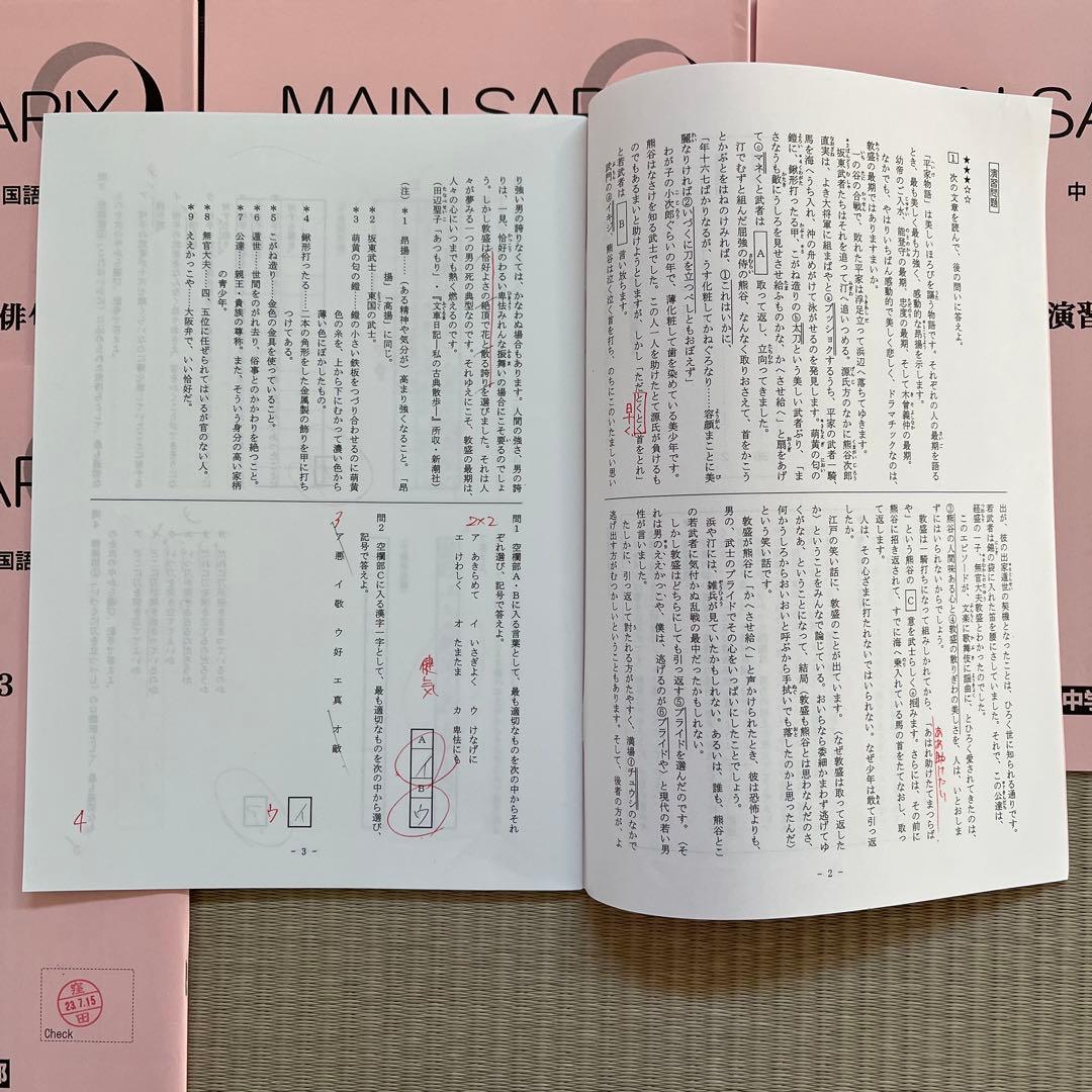 MAIN SAPIX中3 国語