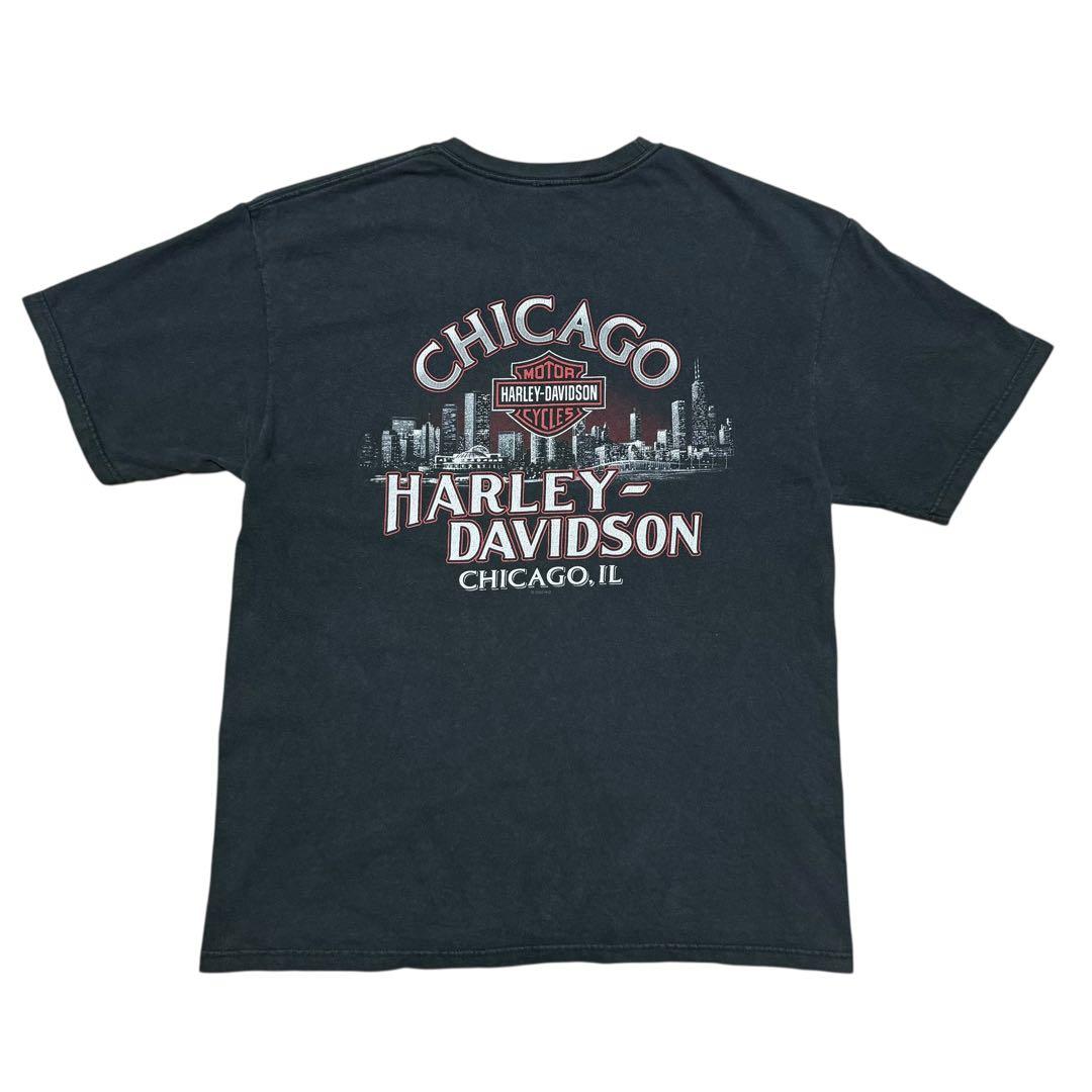 プ*ね様 希少 00s HARLEY DAVIDSON ギャング Tシャツ AM