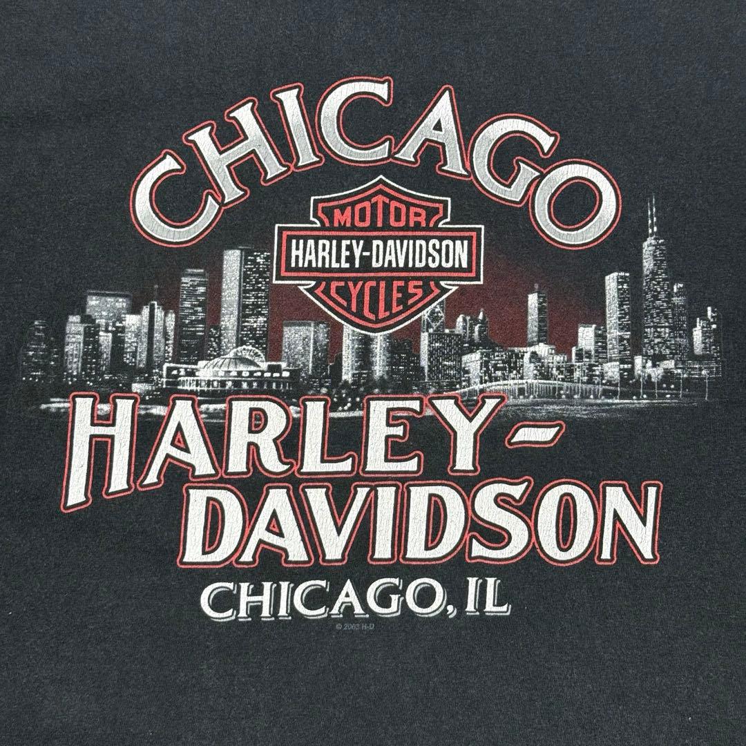 プ*ね様 希少 00s HARLEY DAVIDSON ギャング Tシャツ AM