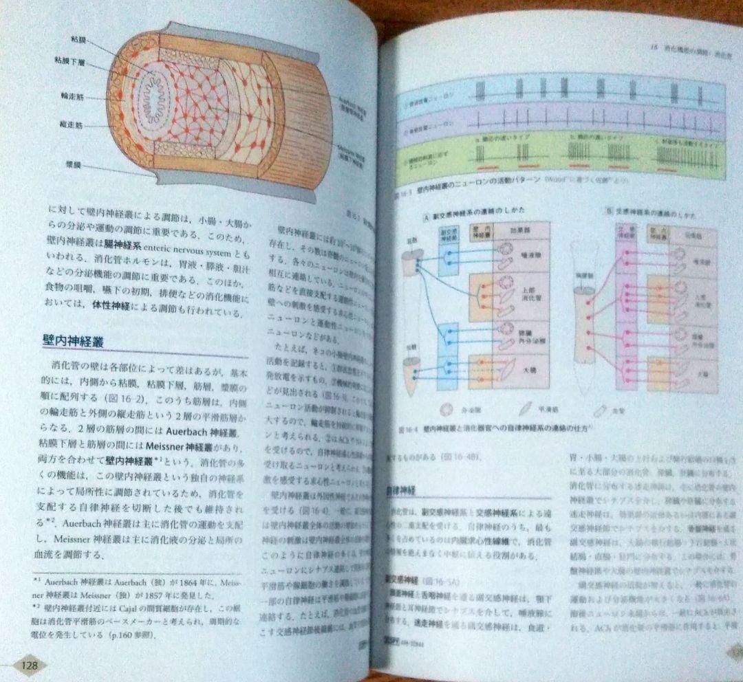 【人気書】やさしい自律神経生理学―命を支える仕組み 鈴木郁子