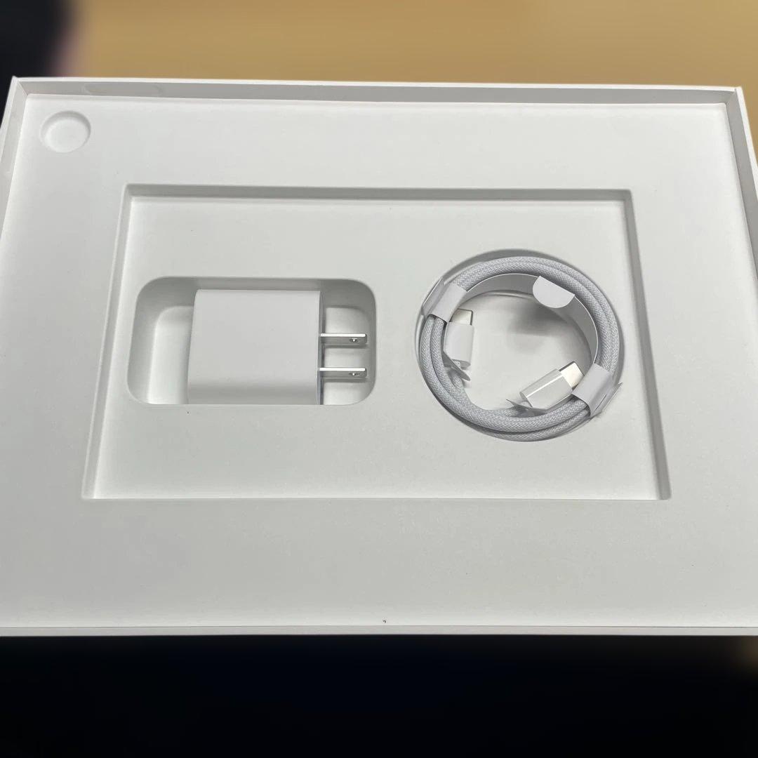 Apple iPad本体 ピンク　11インチ　A16