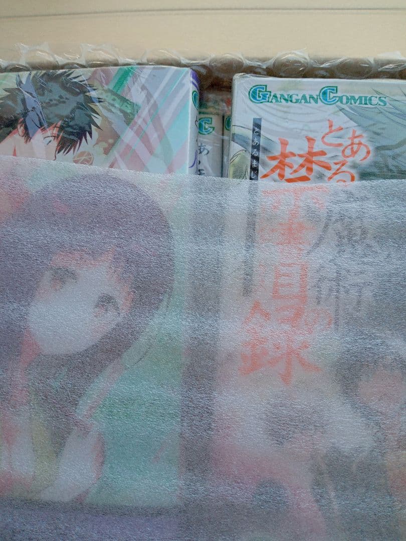 マンガ本とある魔術の禁書目録2巻〜22巻美品21冊セット