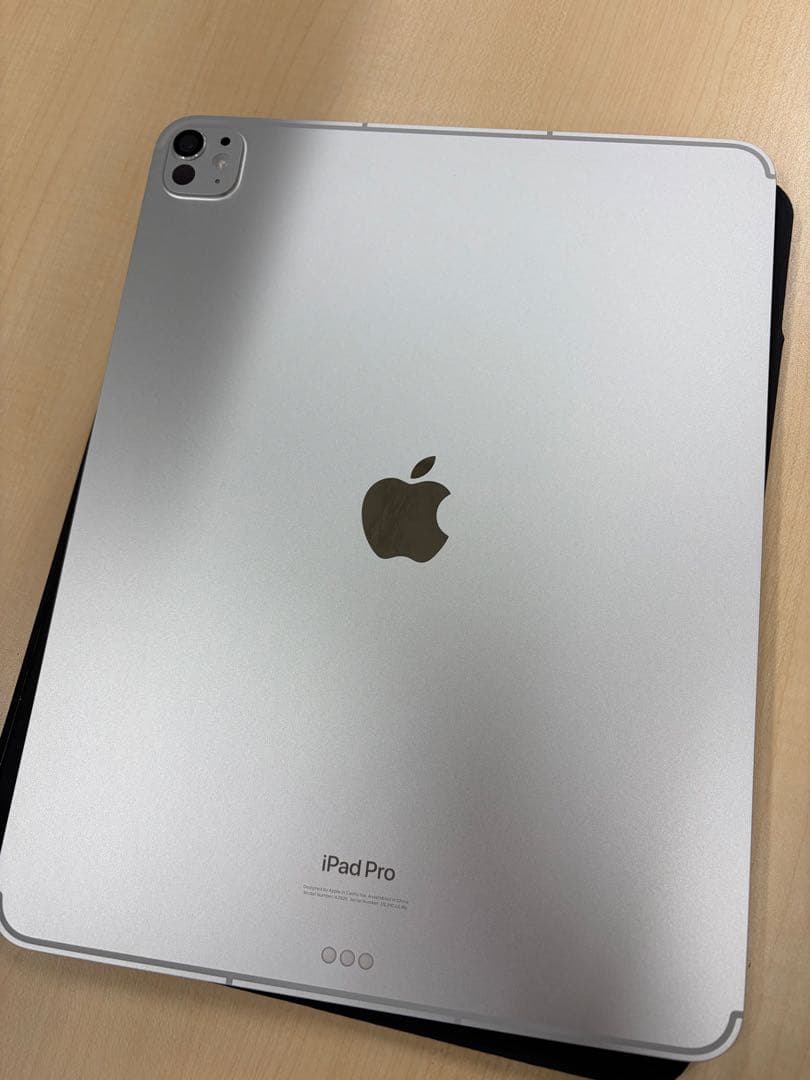 【ジャンク】13インチ iPad Pro (M4)セルラー