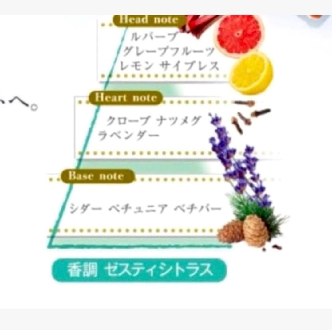 ロクシタン限定品グレープフルーツ パンプルムース ルバーブ ハンドクリームと香水